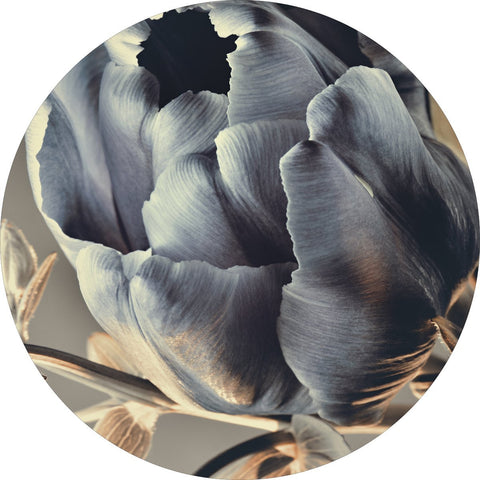 Barok 3 | CIRCLE ART