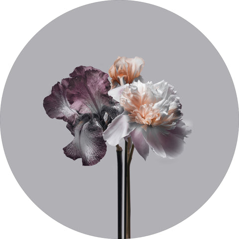 Deugd 1 | CIRCLE ART