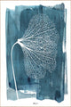 Witte Ginkgo | ALU-BORD