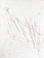 Ruwe essentie | Unika schilderen 90x120