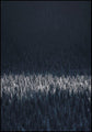 Zwarte dennen | POSTERBORD