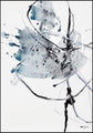Universum XVI | POSTERBORD