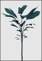 Turkoois renderen | POSTERBORD