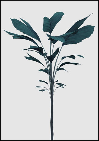 Turkoois renderen | POSTERBORD