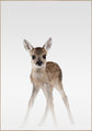 Nevelhert | POSTERBORD