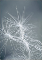 Dream weaver blue | POSTER BOARD