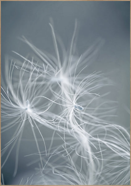 Dream weaver blue | POSTER BOARD
