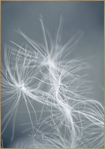 Dream Weaver Blue | Poster