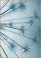 Steruitbarsting | POSTERBORD