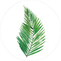 Groene planten 13 | CIRCLE ART