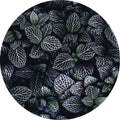 Maanbloemen | CIRCLE ART