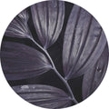 Donkere plant 3 | CIRCLE ART