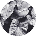 Blad van grijs | CIRCLE ART