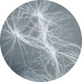 Dream Weaver Blue | CIRCLE ART