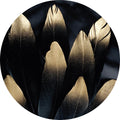 Gouden veer | CIRCLE ART