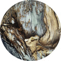 Houten | CIRCLE ART