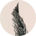 Omhoog 1 | CIRCLE ART