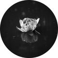 Zwevend 2 | CIRCLE ART