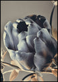 Barok 3 | POSTERBORD