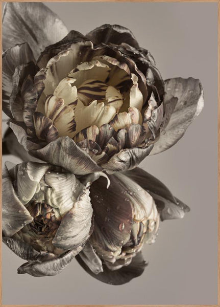 Barok 4 | POSTERBORD