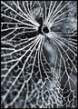 Winterspel | POSTERBORD