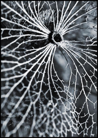 Winterspel | POSTERBORD