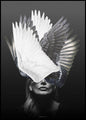Engel | POSTERBORD