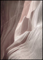 Antilope 1 | POSTERBORD