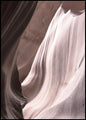 Antilope 4 | POSTERBORD