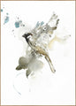 Vogel 1 | POSTERBORD