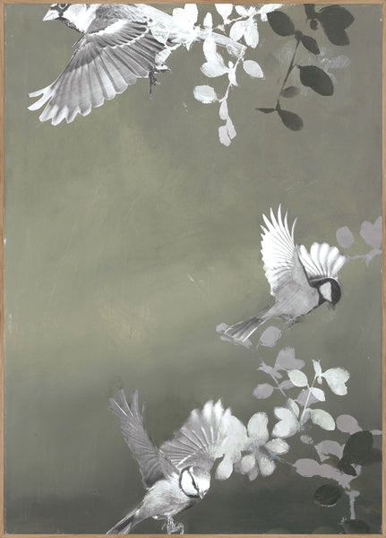 Bird4 | Poster