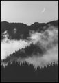 Bisschop 19 | POSTERBORD