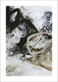Zwart en Wit 2 | POSTER