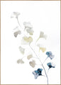 Blauwe lente | POSTERBORD