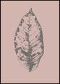 Botanica-1 | POSTERBORD