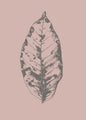 Botanica-1 | POSTER