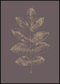 Botanica-2 | Poster