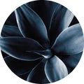 Donkere plant 1 | CIRCLE ART
