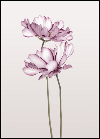 Kosmos 2 | POSTERBORD