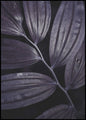 Donkere plant 3 | POSTERBORD