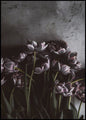 Donkere Tulpen 100x150