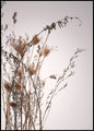 Eeuwig | POSTERBORD