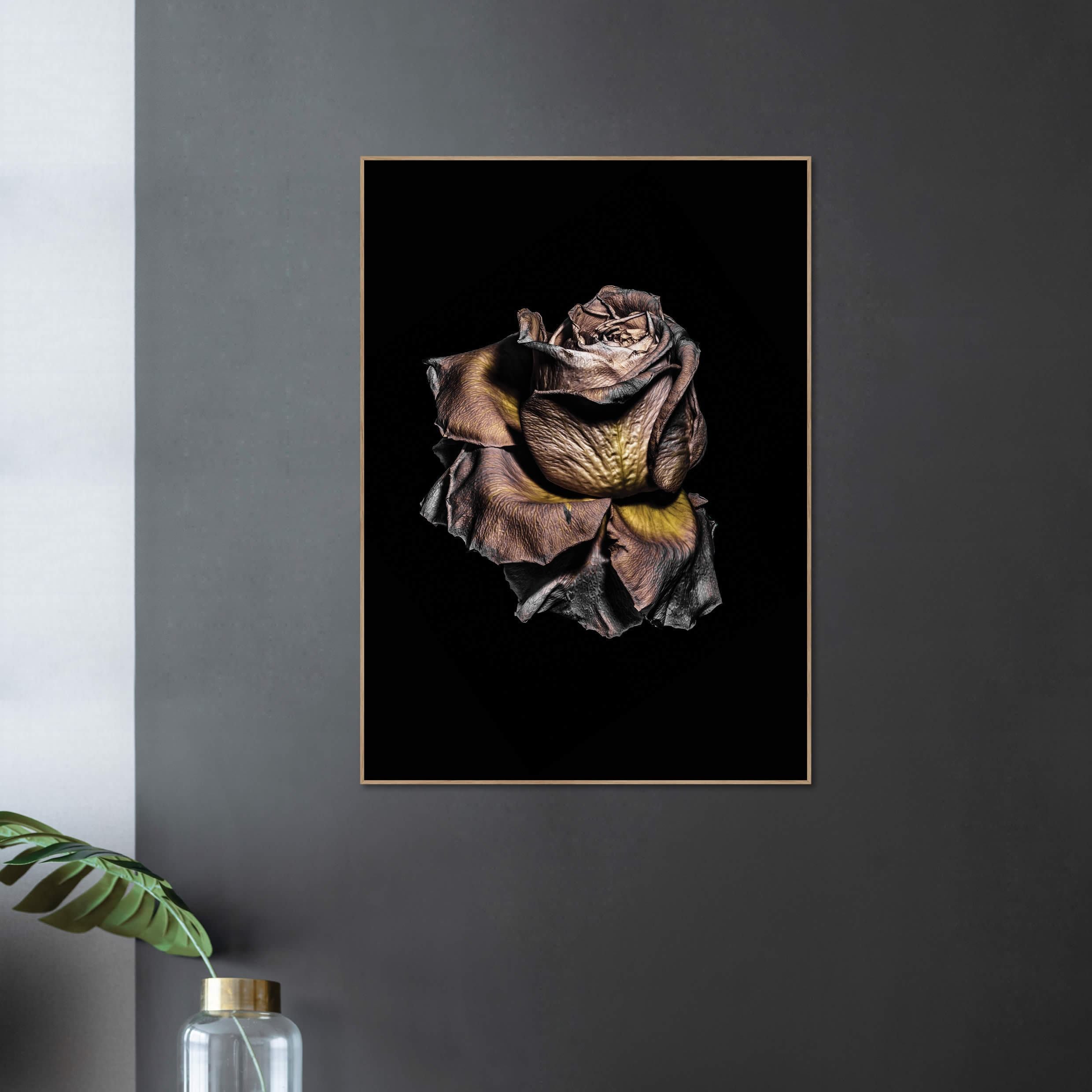 Metaalroze | POSTERBORD