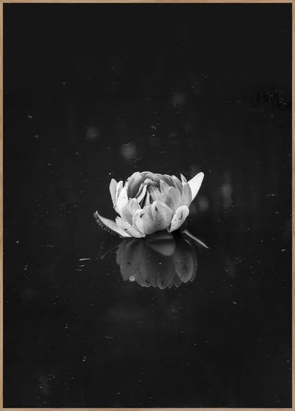 Floating 2 | Poster