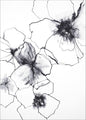 Bloemenlijn 2 | POSTER
