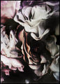 Bloemenmagie 2 | POSTERBORD