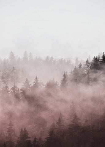 Foggy rood | POSTER