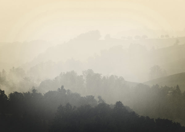 Foggy yellow | POSTER BOARD