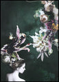 Hautecouture 6 | POSTERBORD