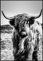 Hooglander | POSTERBORD